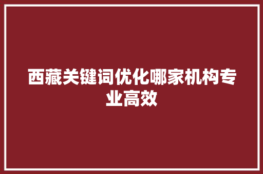 西藏关键词优化哪家机构专业高效