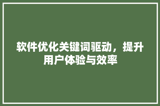 软件优化关键词驱动，提升用户体验与效率