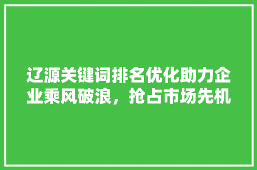 辽源关键词排名优化助力企业乘风破浪，抢占市场先机