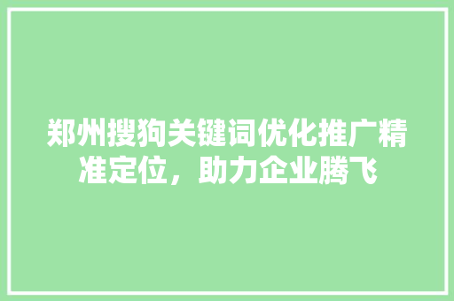 郑州搜狗关键词优化推广精准定位，助力企业腾飞
