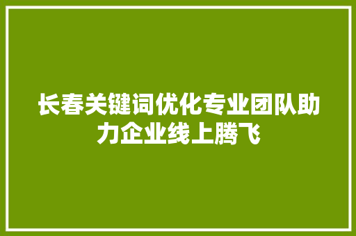 长春关键词优化专业团队助力企业线上腾飞