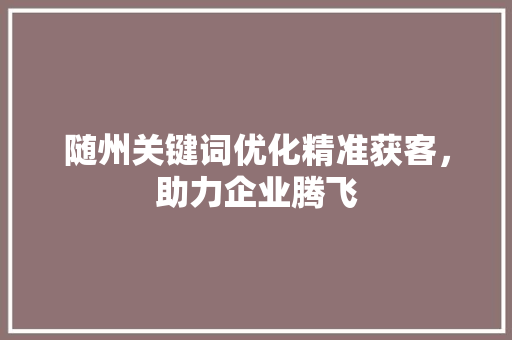随州关键词优化精准获客，助力企业腾飞
