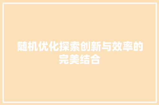随机优化探索创新与效率的完美结合