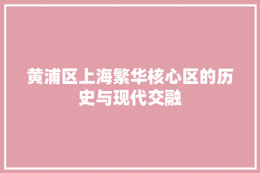 黄浦区上海繁华核心区的历史与现代交融