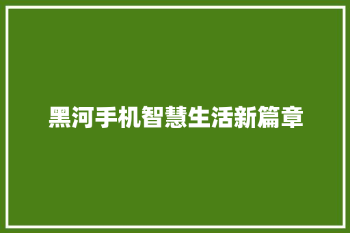 黑河手机智慧生活新篇章