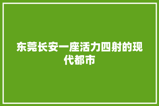 东莞长安一座活力四射的现代都市