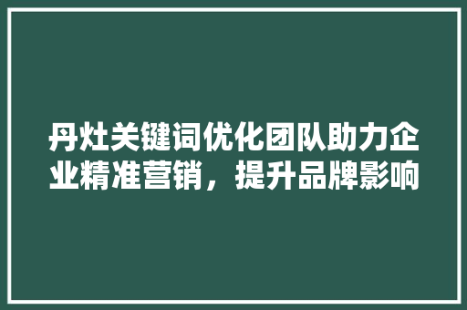 丹灶关键词优化团队助力企业精准营销，提升品牌影响力
