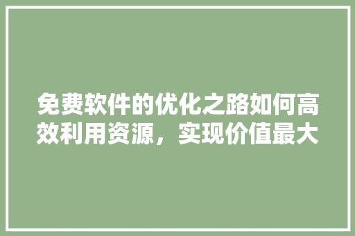 免费软件的优化之路如何高效利用资源，实现价值最大化