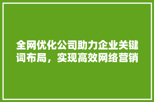 全网优化公司助力企业关键词布局，实现高效网络营销