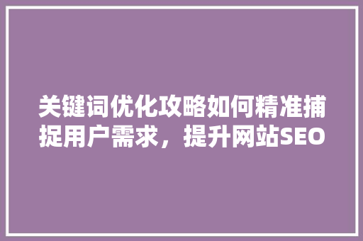 关键词优化攻略如何精准捕捉用户需求，提升网站SEO效果