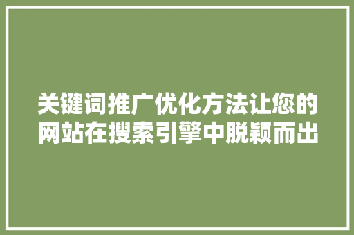 关键词推广优化方法让您的网站在搜索引擎中脱颖而出