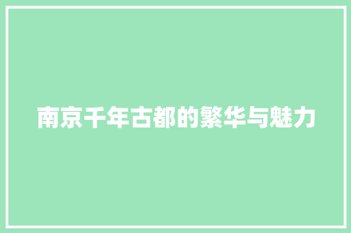 南京千年古都的繁华与魅力