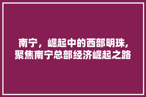 南宁，崛起中的西部明珠,聚焦南宁总部经济崛起之路