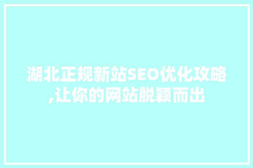 湖北正规新站SEO优化攻略,让你的网站脱颖而出