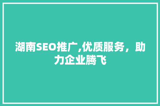 湖南SEO推广,优质服务，助力企业腾飞
