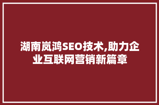 湖南岚鸿SEO技术,助力企业互联网营销新篇章