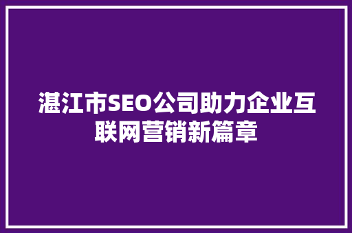 湛江市SEO公司助力企业互联网营销新篇章