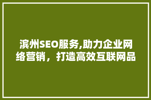 滨州SEO服务,助力企业网络营销，打造高效互联网品牌形象