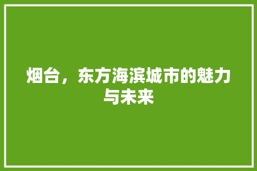 烟台，东方海滨城市的魅力与未来