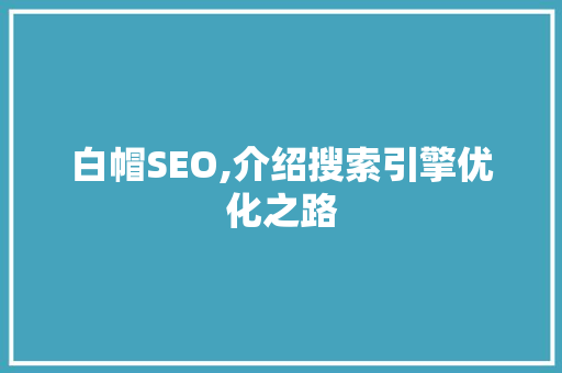 白帽SEO,介绍搜索引擎优化之路