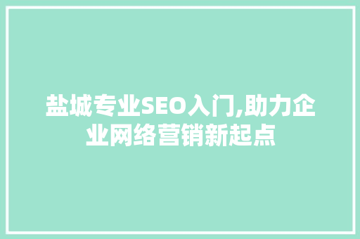 盐城专业SEO入门,助力企业网络营销新起点
