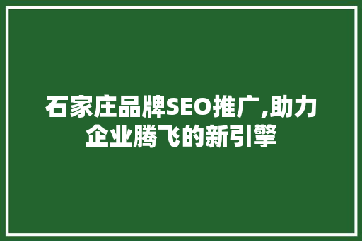 石家庄品牌SEO推广,助力企业腾飞的新引擎