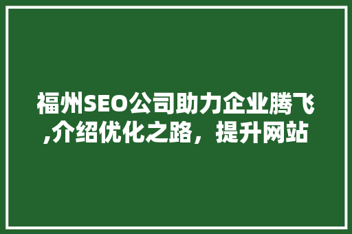福州SEO公司助力企业腾飞,介绍优化之路，提升网站排名
