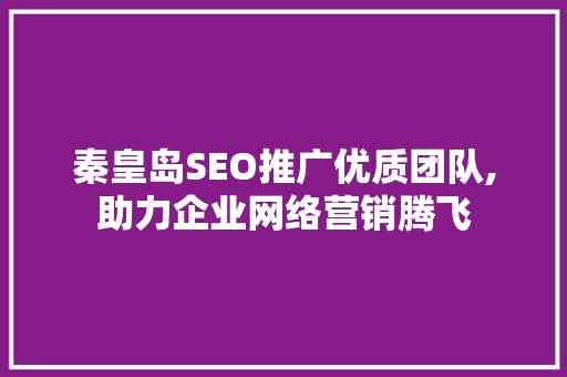 秦皇岛SEO推广优质团队,助力企业网络营销腾飞