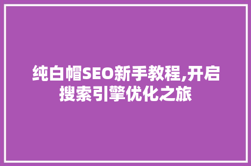 纯白帽SEO新手教程,开启搜索引擎优化之旅