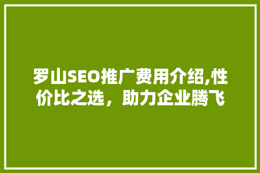 罗山SEO推广费用介绍,性价比之选，助力企业腾飞