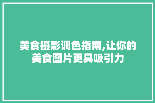 美食摄影调色指南,让你的美食图片更具吸引力