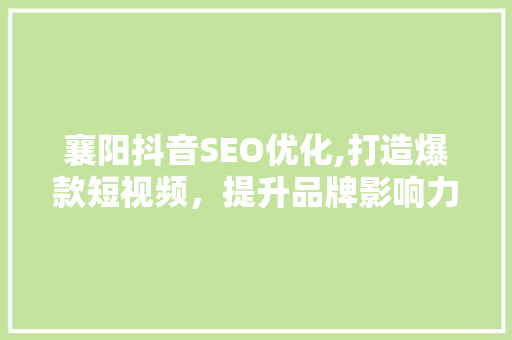 襄阳抖音SEO优化,打造爆款短视频，提升品牌影响力