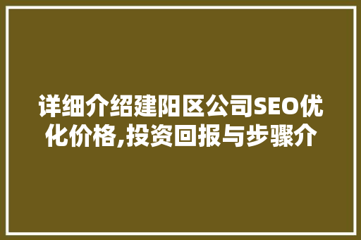 详细介绍建阳区公司SEO优化价格,投资回报与步骤介绍
