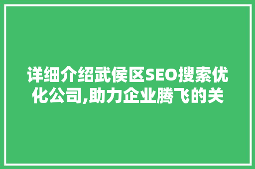 详细介绍武侯区SEO搜索优化公司,助力企业腾飞的关键因素