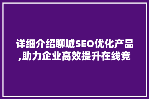 详细介绍聊城SEO优化产品,助力企业高效提升在线竞争力