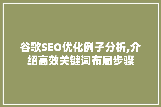 谷歌SEO优化例子分析,介绍高效关键词布局步骤