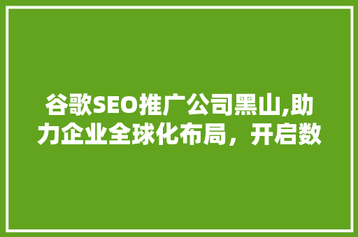 谷歌SEO推广公司黑山,助力企业全球化布局，开启数字营销新时代