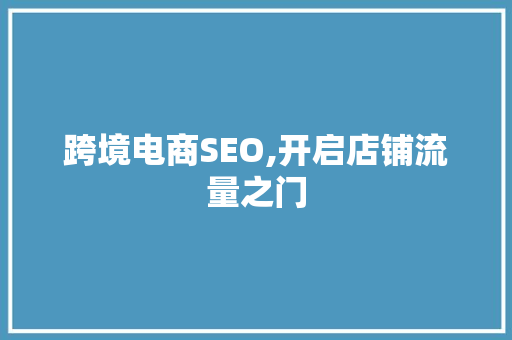 跨境电商SEO,开启店铺流量之门