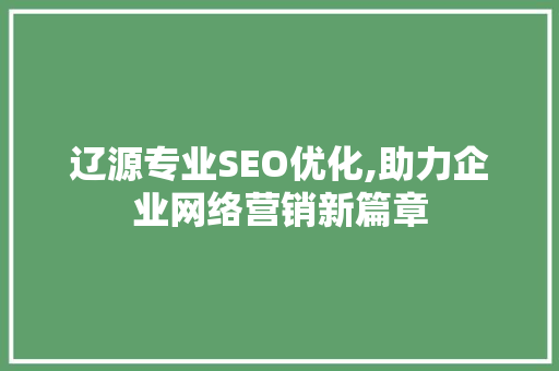 辽源专业SEO优化,助力企业网络营销新篇章