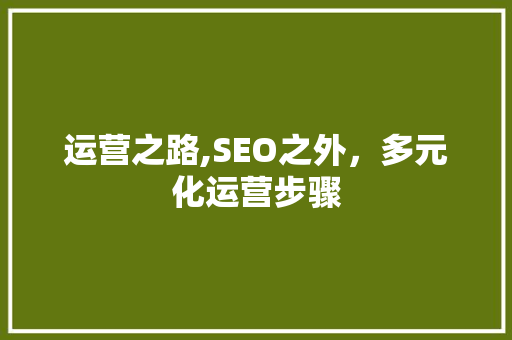 运营之路,SEO之外，多元化运营步骤