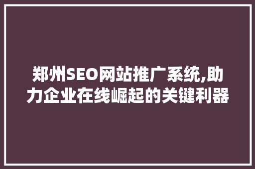 郑州SEO网站推广系统,助力企业在线崛起的关键利器
