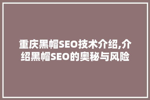 重庆黑帽SEO技术介绍,介绍黑帽SEO的奥秘与风险