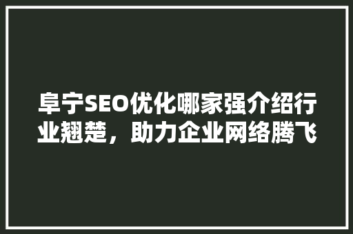 阜宁SEO优化哪家强介绍行业翘楚，助力企业网络腾飞