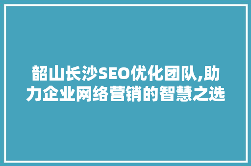 韶山长沙SEO优化团队,助力企业网络营销的智慧之选
