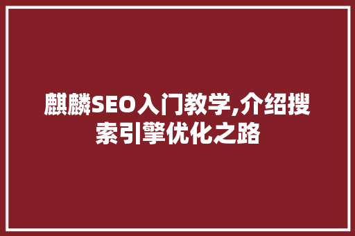 麒麟SEO入门教学,介绍搜索引擎优化之路