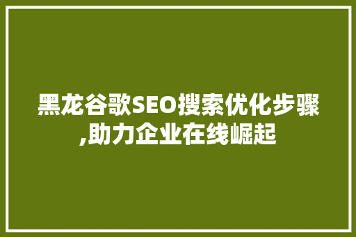 黑龙谷歌SEO搜索优化步骤,助力企业在线崛起