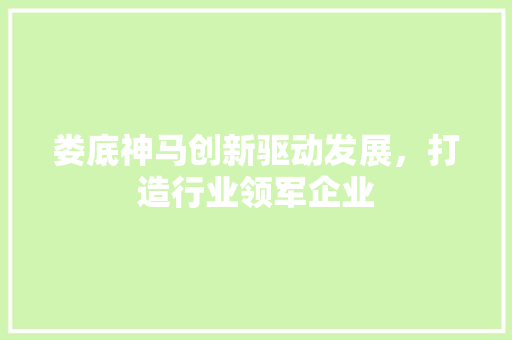 娄底神马创新驱动发展，打造行业领军企业