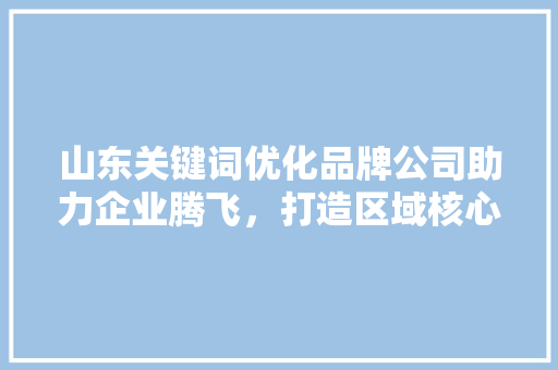 山东关键词优化品牌公司助力企业腾飞，打造区域核心竞争力