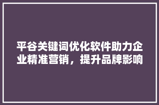 平谷关键词优化软件助力企业精准营销，提升品牌影响力