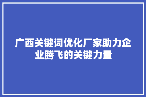广西关键词优化厂家助力企业腾飞的关键力量